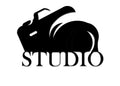 Customized Studio Logo